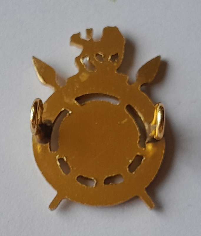 Rhodesian Intelligence Corps Badge.  Lugs Intact.