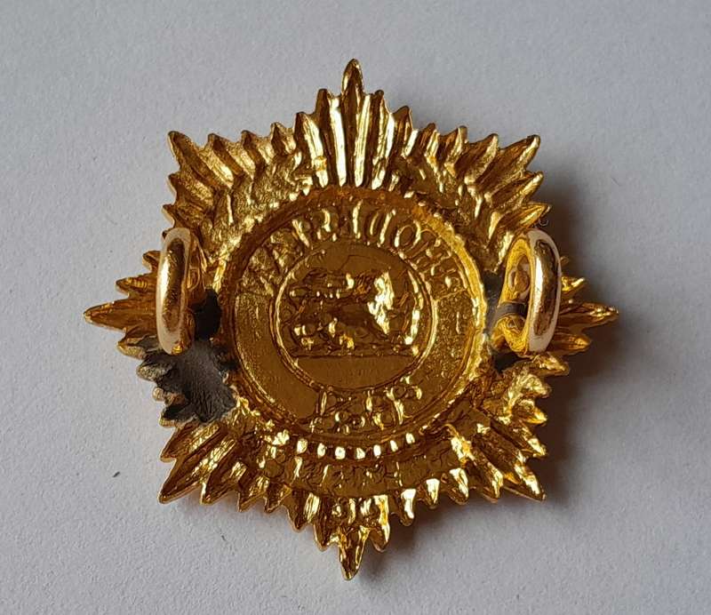Rhodesian Army Services Badge.  Lugs Intact.