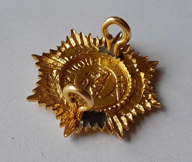 Rhodesian Army Services Badge.  Lugs Intact.