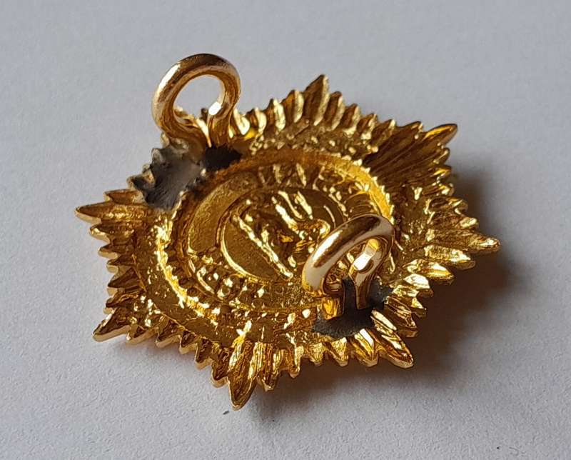 Rhodesian Army Services Badge.  Lugs Intact.