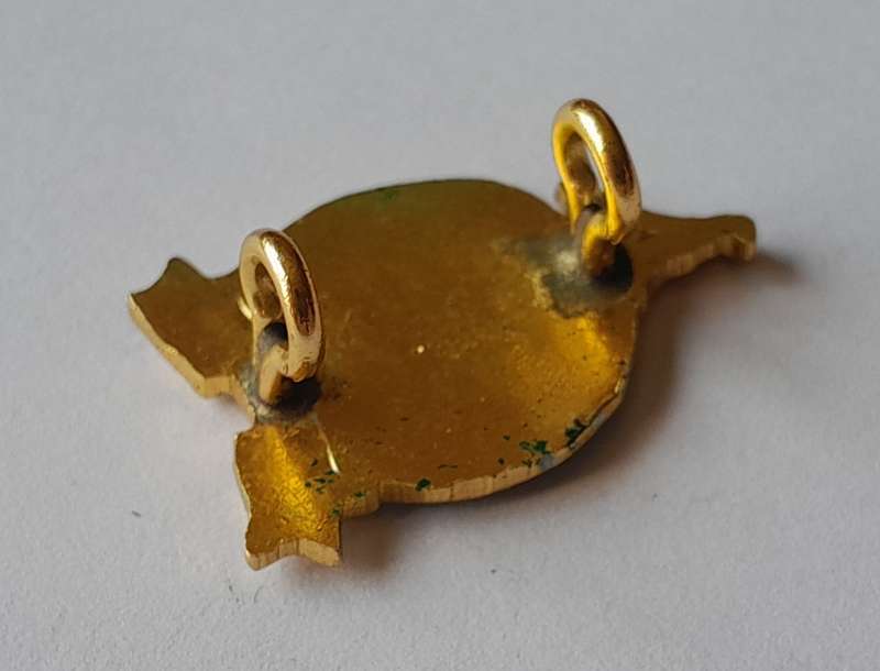 Rhodesian Army Defense Unit Badge.  Lugs Intact.
