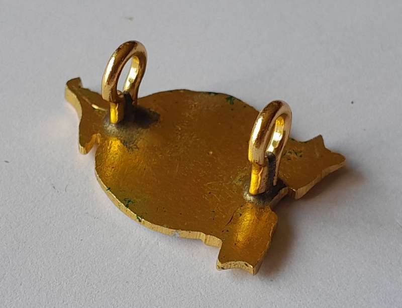 Rhodesian Army Defense Unit Badge.  Lugs Intact.