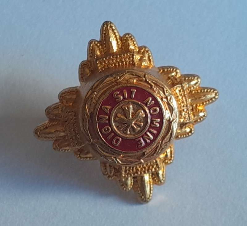 Early Collection of Rank Pips.  All Lugs Intact.