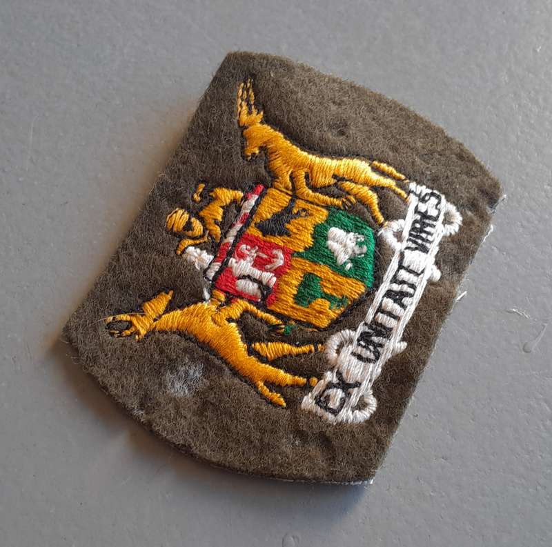 SADF Warrant Officer Rank Badge.