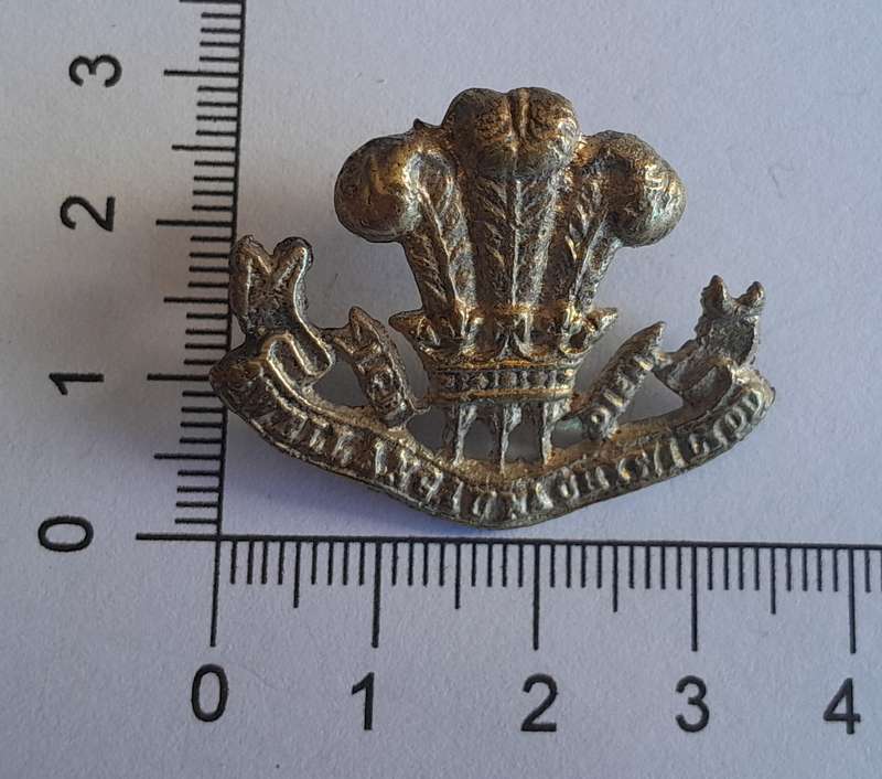 WW2 Royal Regiment of Wales Cap Badge.  No Slider.