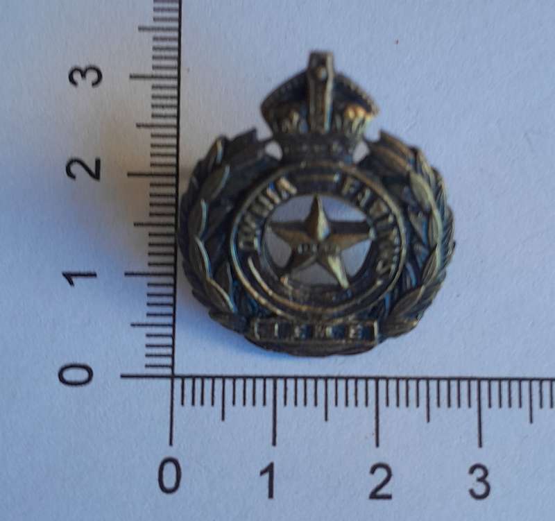 British India Electrical & Mechanical Engineers Badge.  Lugs Intact.