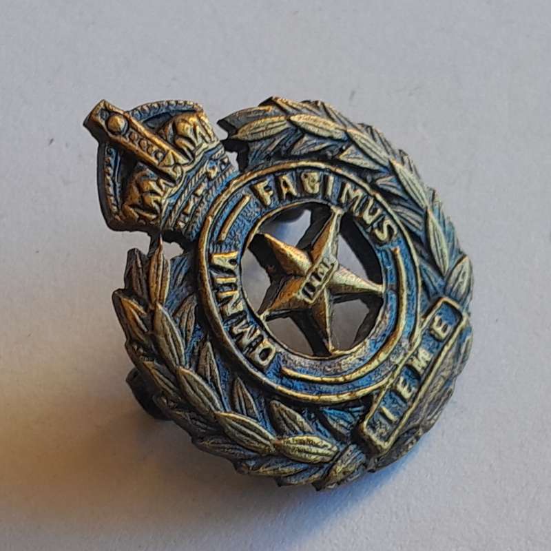 British India Electrical & Mechanical Engineers Badge.  Lugs Intact.