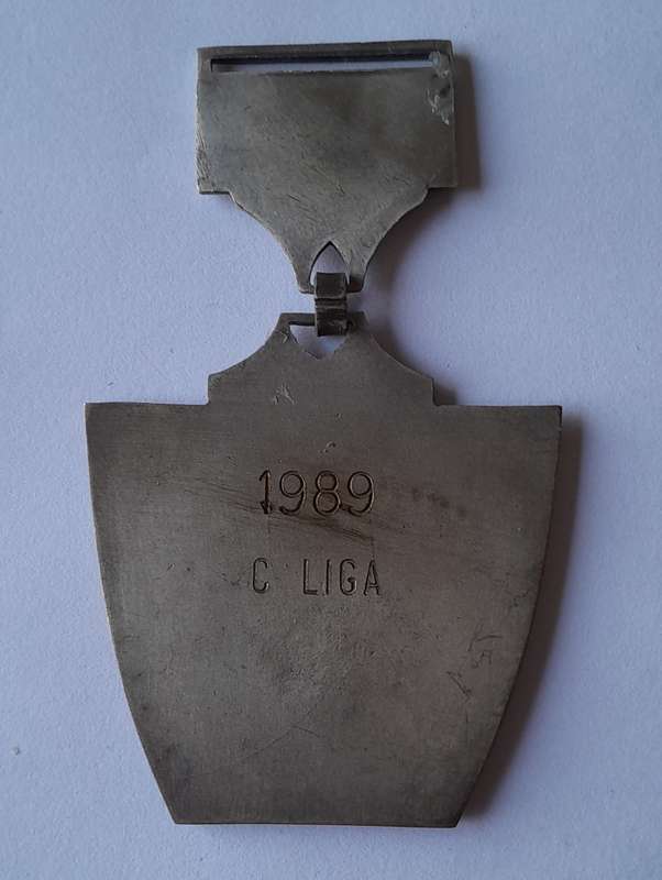 1989 Northern Transvaal Shooting Medal.