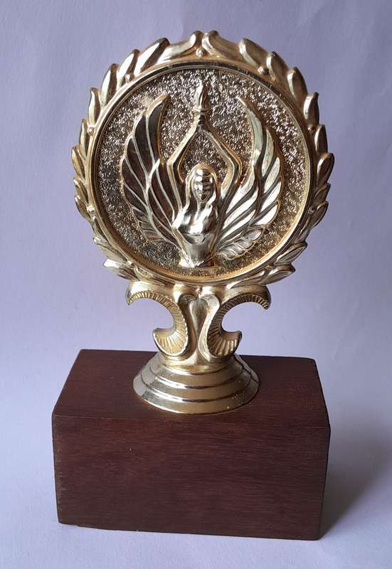 1985 SA Service Shooting Trophy.