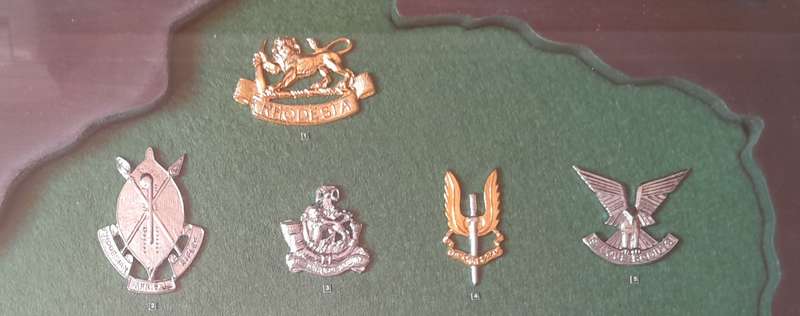 Rhodesian Army Collector's Badge Set in Cabinet.  Ltd Edition. No. 469/1000.