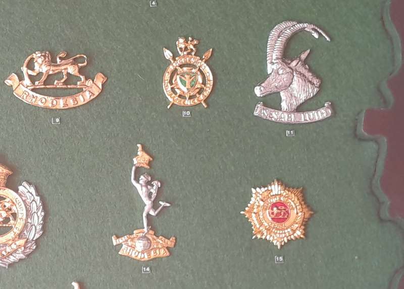Rhodesian Army Collector's Badge Set in Cabinet.  Ltd Edition. No. 469/1000.