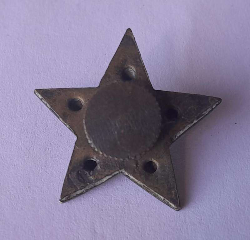 WW1 Senior Officer Rank Star.  Back Screw Intact.