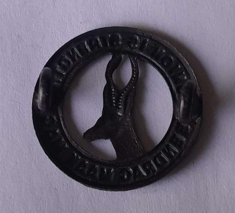 WW2 SA Infantry Collar Badge.  Lugs Intact.