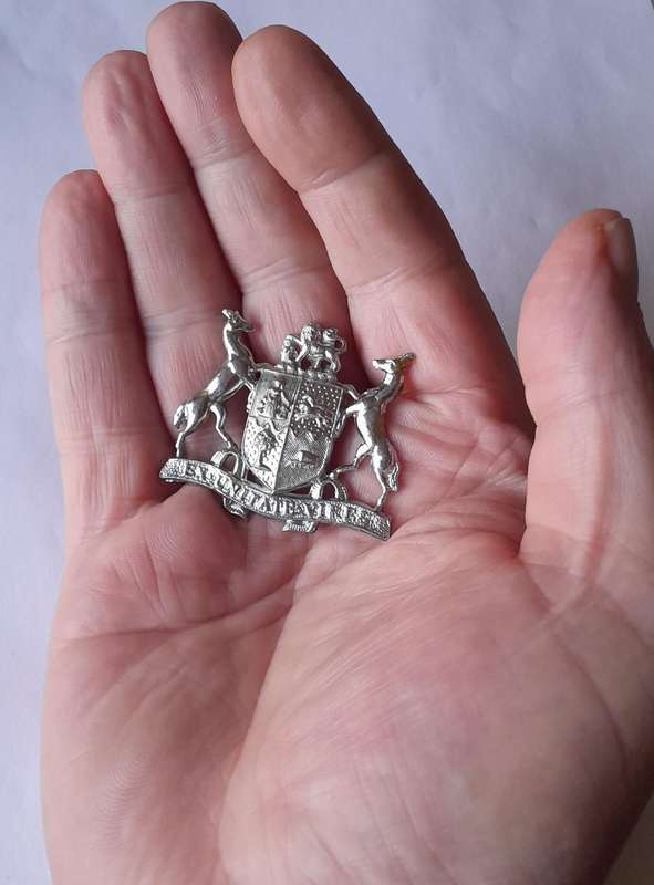 SADF Warrant Officer 2 Chromed Badge.  No Pins.