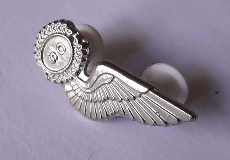 CS Brevet Wing Badge.  Pins Intact.