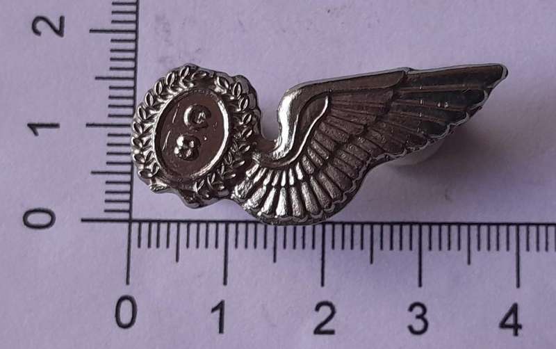 CS Brevet Wing Badge.  Pins Intact.