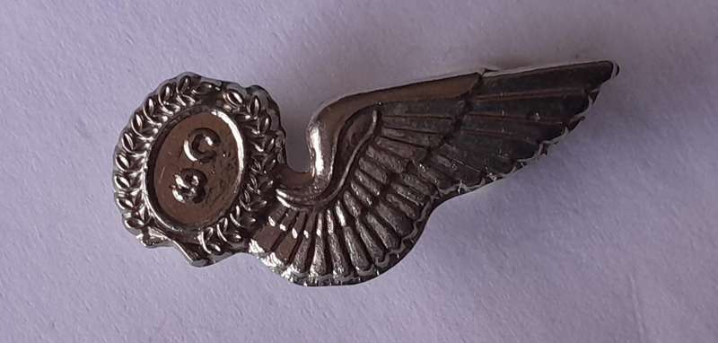 CS Brevet Wing Badge.  Pins Intact.