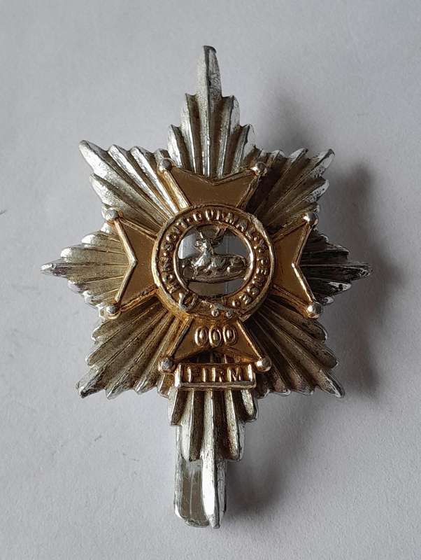 Worcester & Sherwood Foresters Anodised Aluminium Cap Badge.  JR Gaunt.  Slider Intact.
