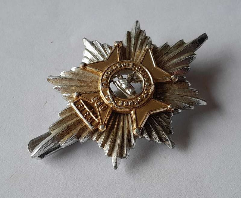 Worcester & Sherwood Foresters Anodised Aluminium Cap Badge.  JR Gaunt.  Slider Intact.