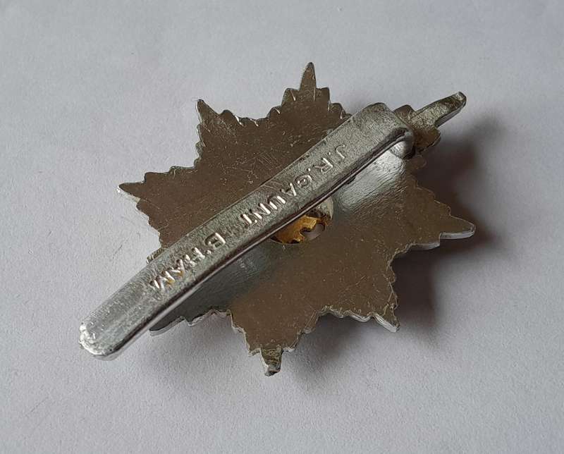 Worcester & Sherwood Foresters Anodised Aluminium Cap Badge.  JR Gaunt.  Slider Intact.
