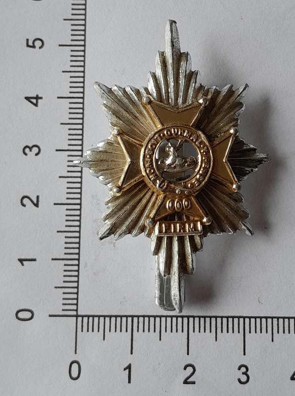 Worcester & Sherwood Foresters Anodised Aluminium Cap Badge.  JR Gaunt.  Slider Intact.