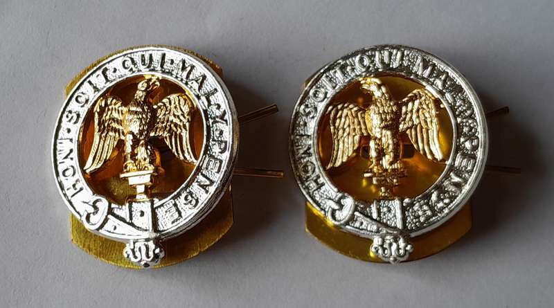 Pair 3rd Battalion Royal Anglian Regiment Anodised Aluminium Collar Badges with Backplates.
