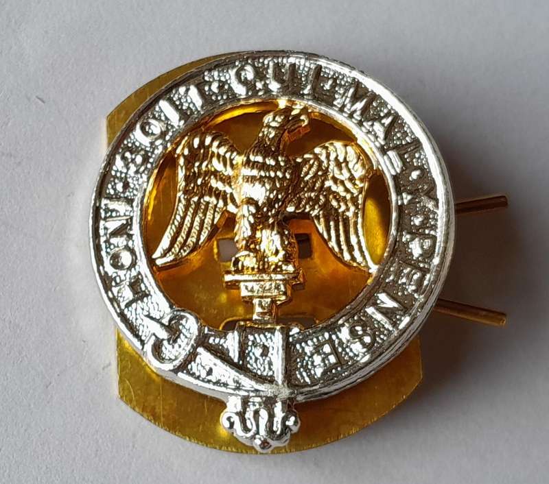 Pair 3rd Battalion Royal Anglian Regiment Anodised Aluminium Collar Badges with Backplates.