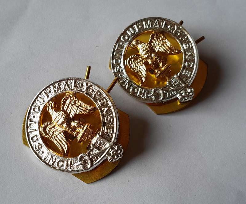 Pair 3rd Battalion Royal Anglian Regiment Anodised Aluminium Collar Badges with Backplates.