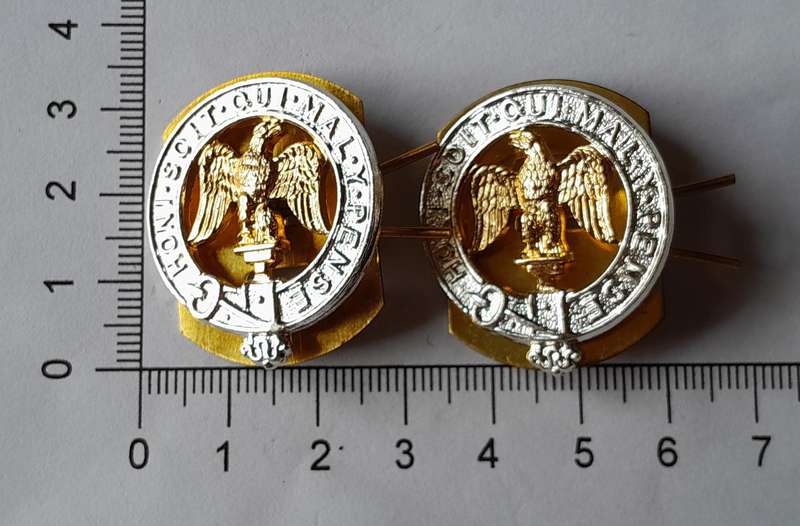 Pair 3rd Battalion Royal Anglian Regiment Anodised Aluminium Collar Badges with Backplates.
