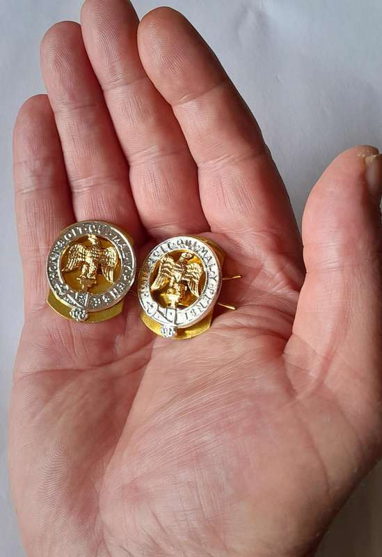 Pair 3rd Battalion Royal Anglian Regiment Anodised Aluminium Collar Badges with Backplates.