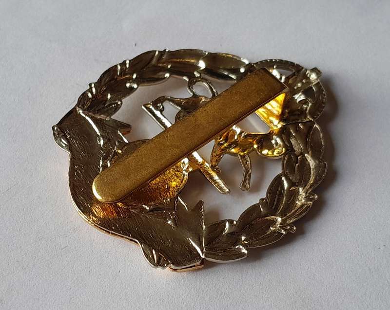 Royal Hampshire Regiment Cap Badge.  Slider Intact.