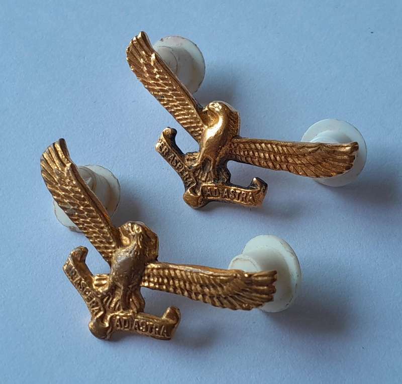 Pair SA Air Force Collar Badges.  Pins Intact.