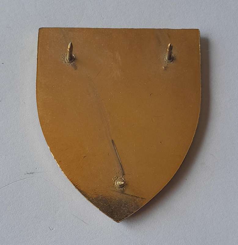 SADF SWATF 91 Field Workshop Pocket Flash.  All Pins Intact.