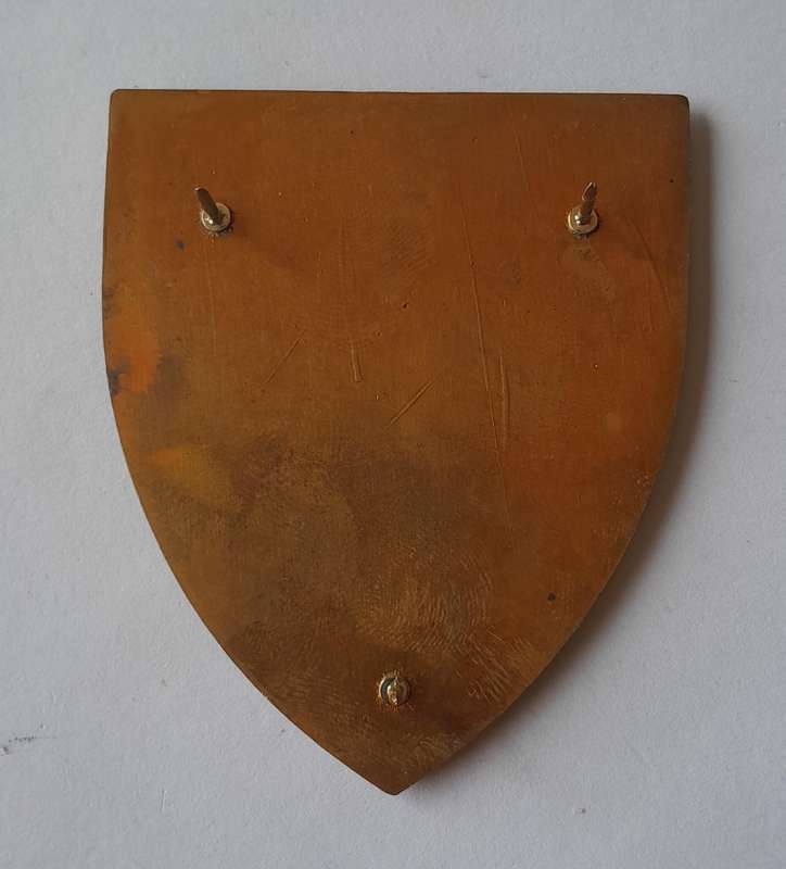 Koevoet Combat Team Zulu 1 Juliet Metal Flash.  All Pins Intact.
