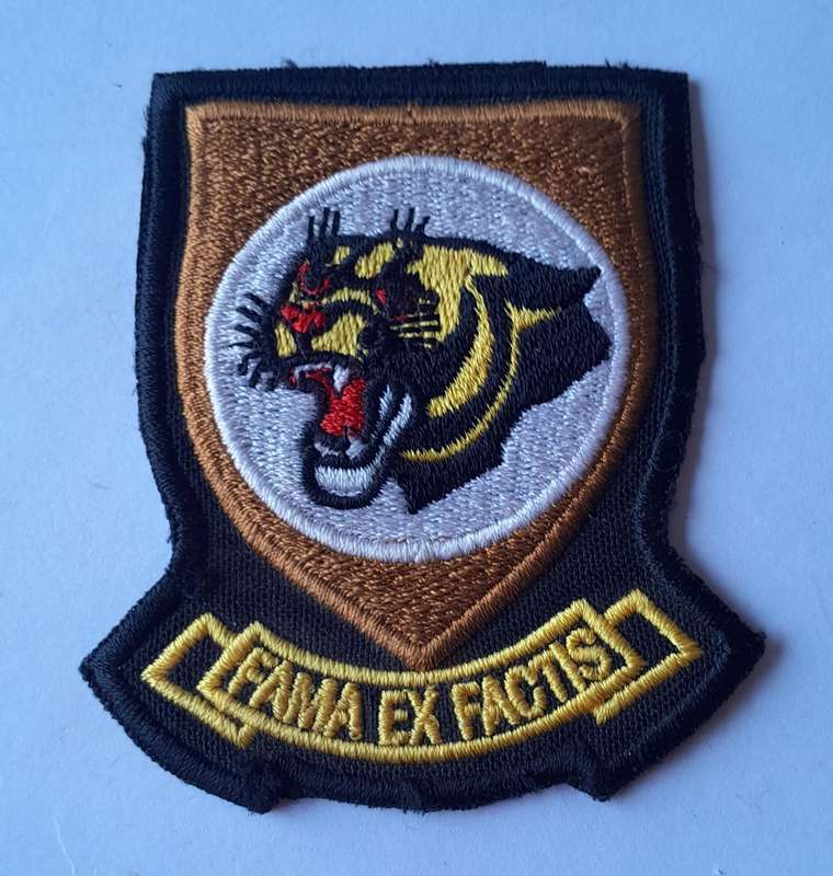 SA Air Force 19 Squadron Flight Suit Patch.