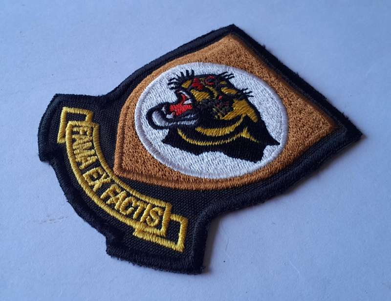 SA Air Force 19 Squadron Flight Suit Patch.
