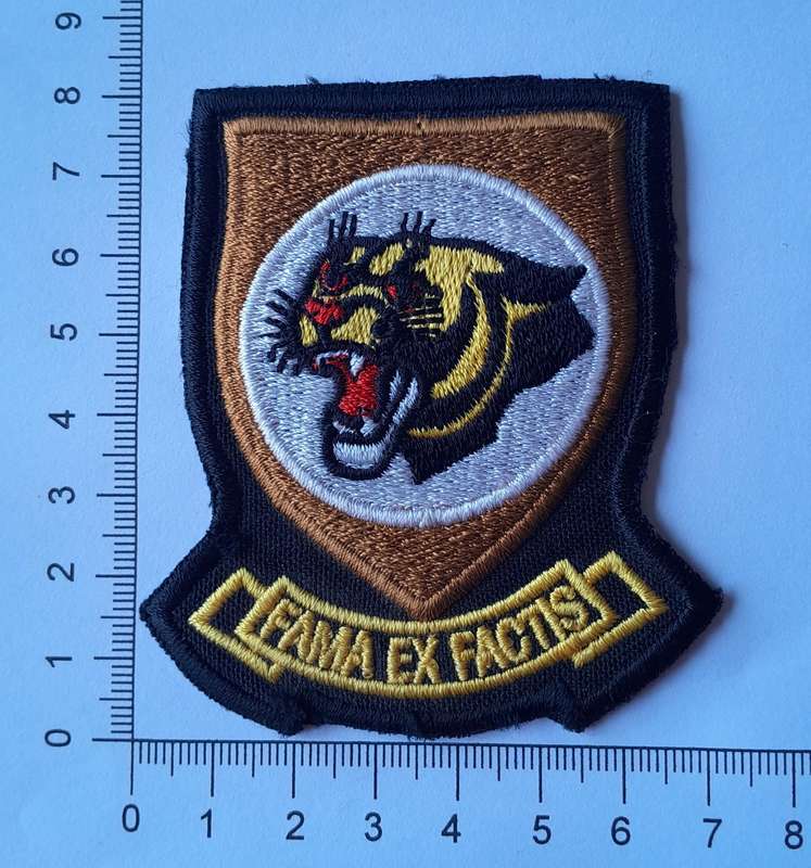 SA Air Force 19 Squadron Flight Suit Patch.
