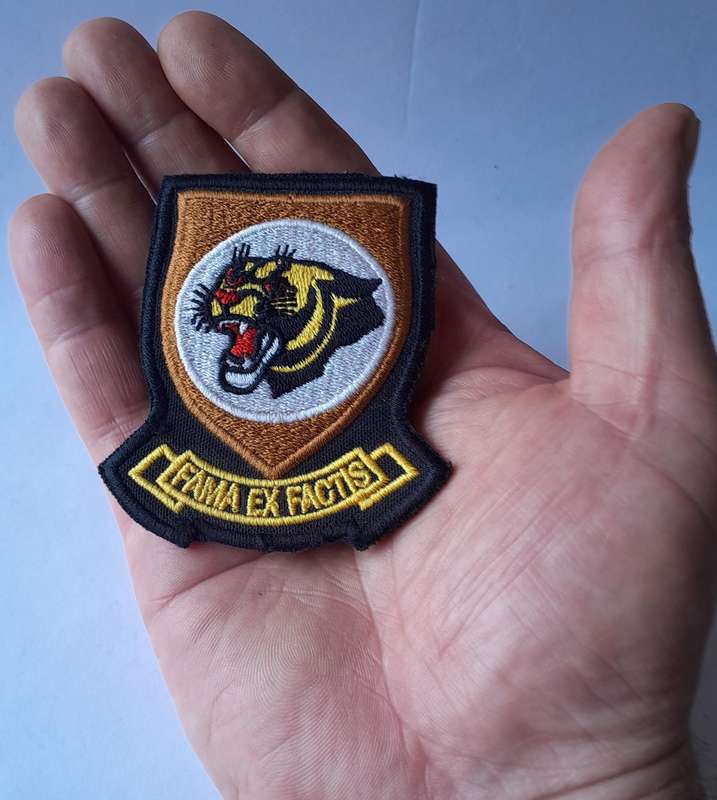 SA Air Force 19 Squadron Flight Suit Patch.