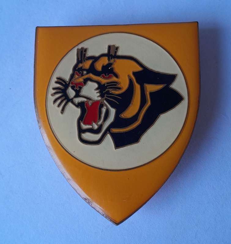 SA Air Force 19 Squadron Metal Flash.  All Pins Intact.