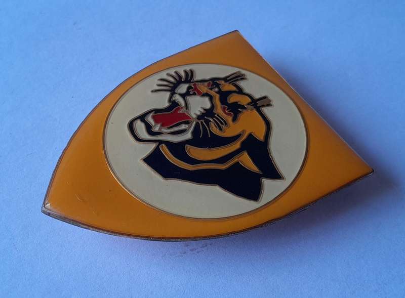 SA Air Force 19 Squadron Metal Flash.  All Pins Intact.
