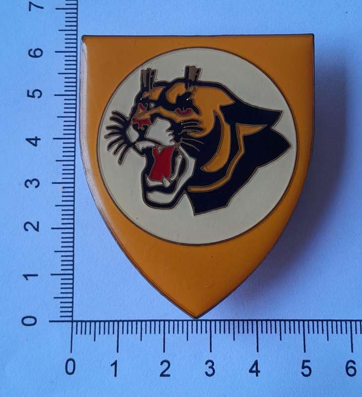SA Air Force 19 Squadron Metal Flash.  All Pins Intact.