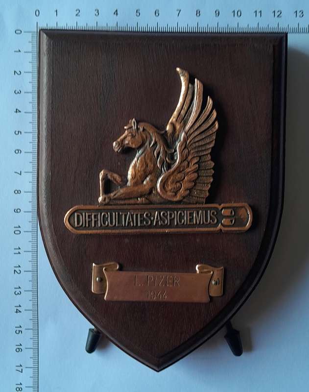 SA Air Force 5 Squadron WW2 Commemorative Plaque.  "L Pizer, 1944"