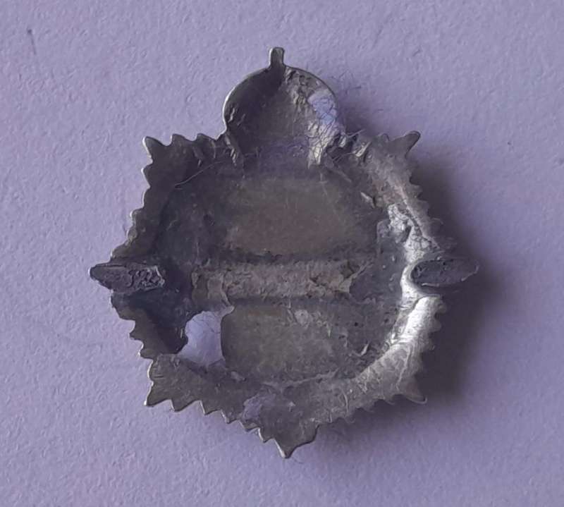 WW2 SA Service Corps SASC/ SAI Sweetheart Badge.  Enameled.  No Clasp.