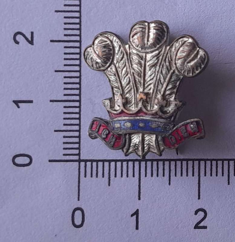 WW2 Royal Regiment of Wales Sweetheart Badge.  Pin Intact.  No Clasp.