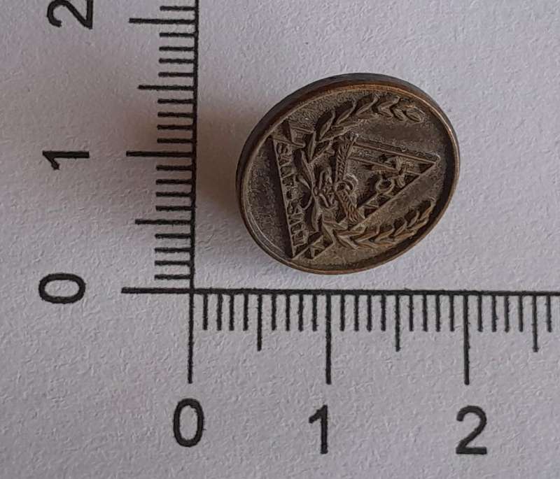 SA Air Force 75 Year Lapel Badge.  Pin Intact.