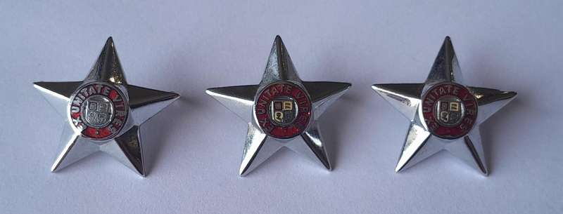 Set of 3 SADF Officers Rank Pips.  Pins Intact.