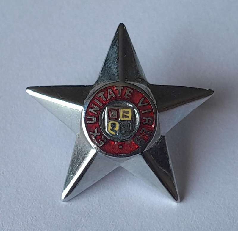Set of 3 SADF Officers Rank Pips.  Pins Intact.