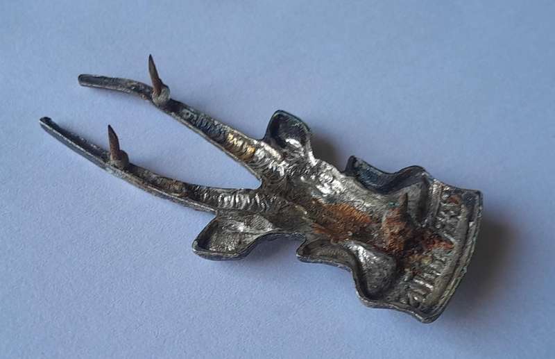 South West Africa Territorial Force (SWATF) Cap Badge.  Pins Intact.