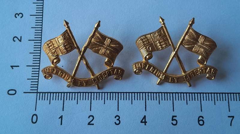 Pair SA Imperial Light Horse Gilt Collar Badges.  Pins Intact.