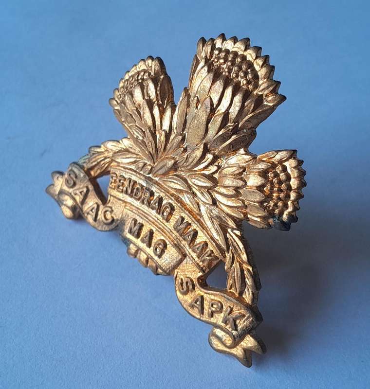 SA Armoured Corps Cap Badge.  Screw Lugs Intact.